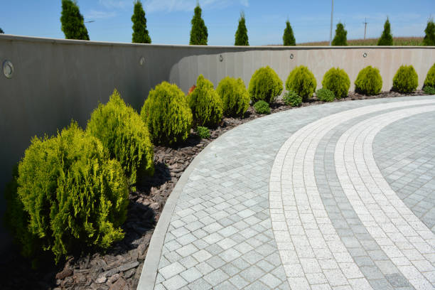 Best Decorative Driveway Pavers  in Colonial Pine Hills, SD